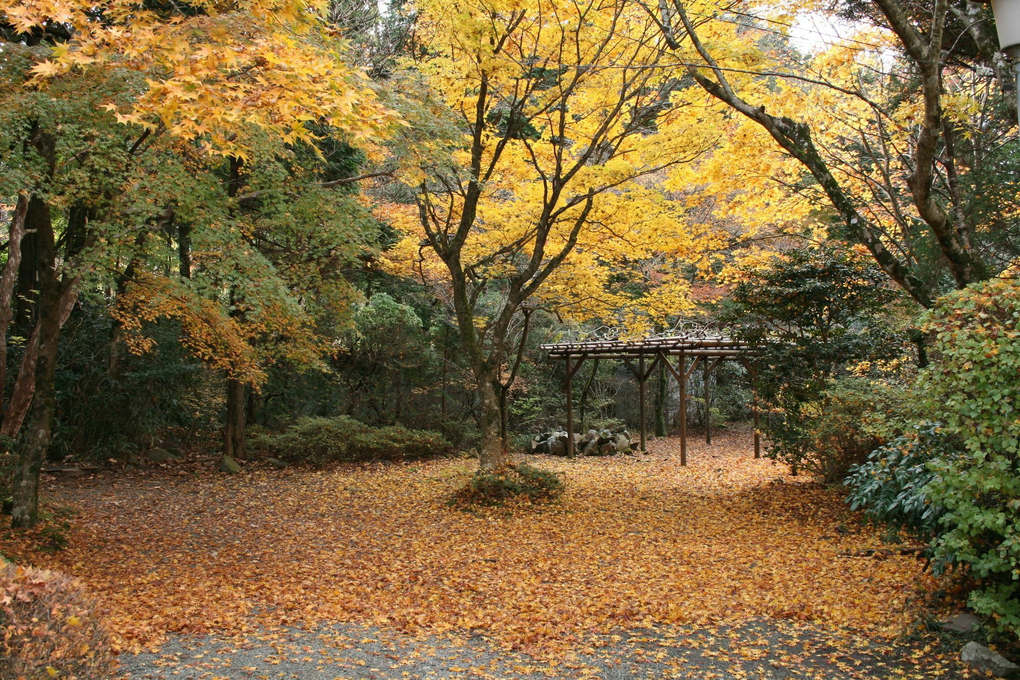 Hotel Senkyoro Hakone Exterior foto